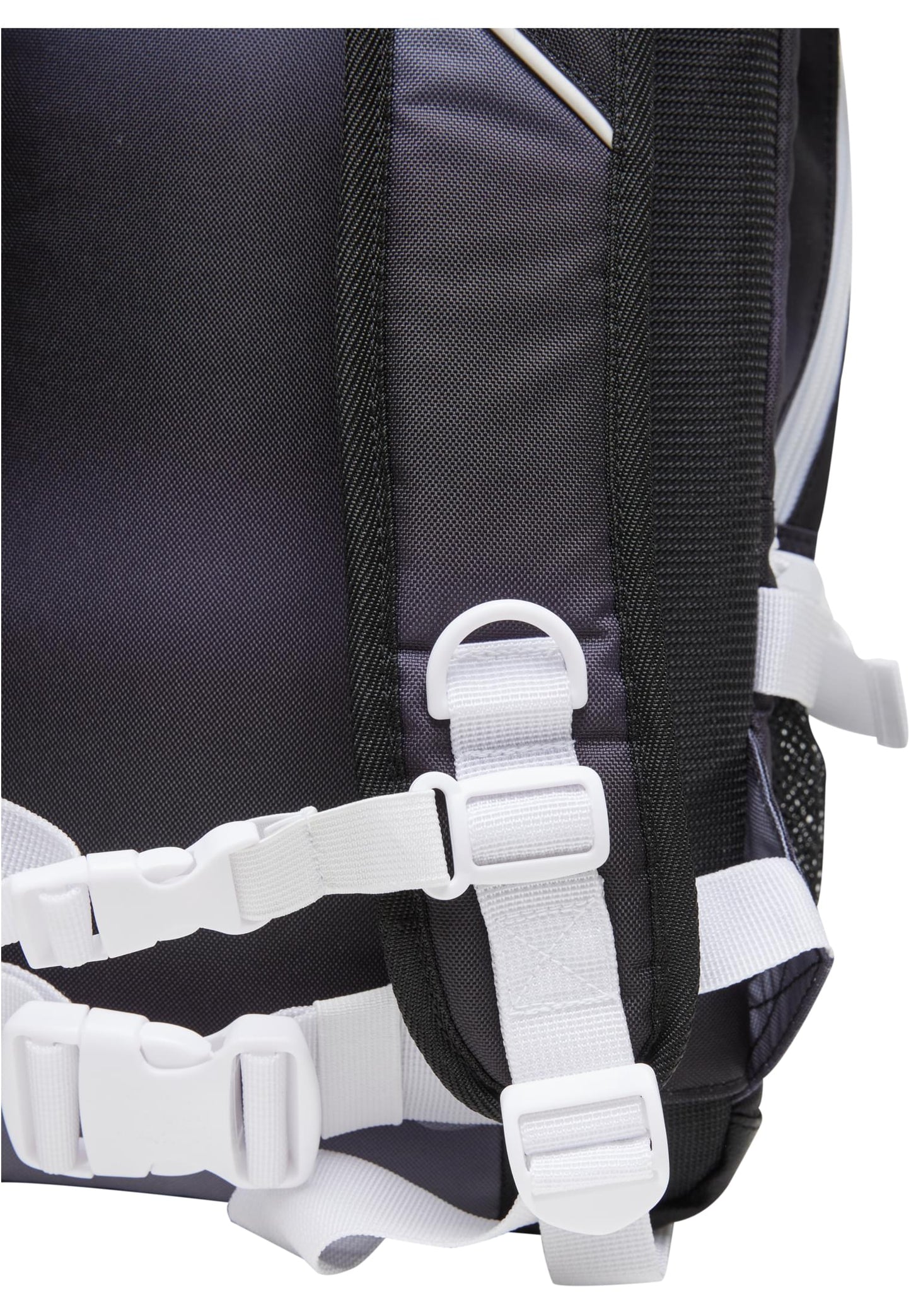 Forvert Laptop Louis Pathway